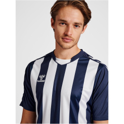 hummel Core XK Striped gestreiftes Trikot Herren marine/white XL