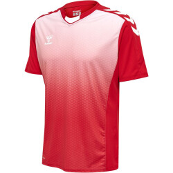 hummel Core XK Sublimation Trikot Herren true red XXL
