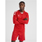 hummel Core XK langarm Trikottrue red S