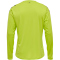 hummel Core XK langarm Trikotlime popsicle 3XL