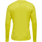 hummel Core XK langarm Trikotblazing yellow M