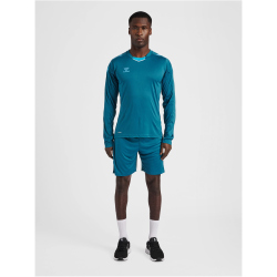 hummel Core XK langarm Trikotblue coral M