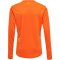 hummel Core XK langarm Trikot Kinder orange tiger 116