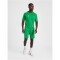 hummel Core XK Poly Trainingsshirt Herren jelly bean XXL