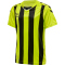 hummel Core XK gestreiftes Trikot Kinder lime popsicle/black 116