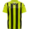 hummel Core XK gestreiftes Trikot Kinder lime popsicle/black 116