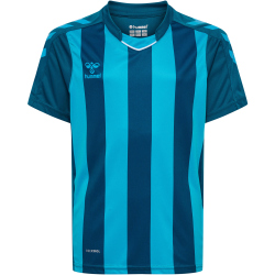 hummel Core XK gestreiftes Trikot Kinder blue coral/blue...