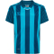 hummel Core XK gestreiftes Trikot Kinder blue coral/blue danube 116