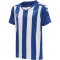 hummel Core XK gestreiftes Trikot Kinder true blue/white 116