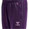 hummel Core XK Trainingshose Kinder acai 140