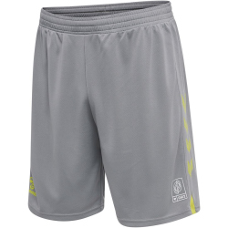 hummel GG12 Action Shorts Herren alloy 3XL