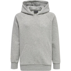 hummel GG12 Hoodie Kinder grey melange 116