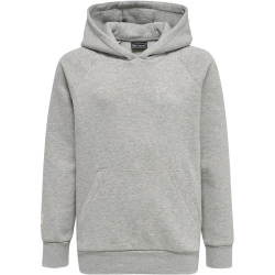 hummel GG12 Hoodie Kinder grey melange 140