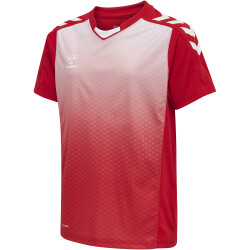 hummel Core XK Sublima Trikot Kinder true red 116