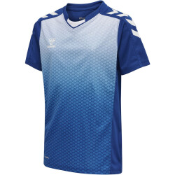 hummel Core XK Sublima Trikot Kinder true blue 116