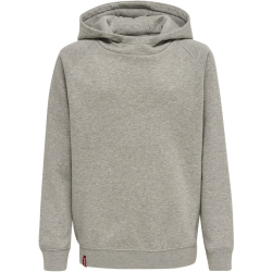 hummel hmlRED Classic Hoodie Kinder grey melange 116