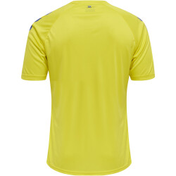 hummel Core XK Poly Trainingsshirt Herren blazing...