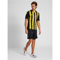 hummel Core XK Striped gestreiftes Trikot Herren black/blazing yellow XXL