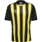 hummel Core XK Striped gestreiftes Trikot Herren black/blazing yellow XXL
