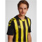 hummel Core XK Striped gestreiftes Trikot Herren black/blazing yellow XXL