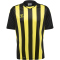 hummel Core XK Striped gestreiftes Trikot Herren black/blazing yellow L