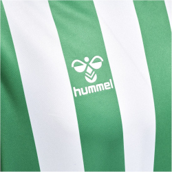 hummel Core XK Striped gestreiftes Trikot Herren jelly bean/white L