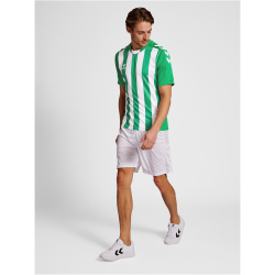 hummel Core XK Striped gestreiftes Trikot Herren jelly bean/white M