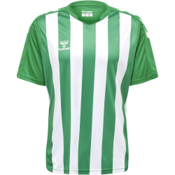 hummel Core XK Striped gestreiftes Trikot Herren jelly bean/white S