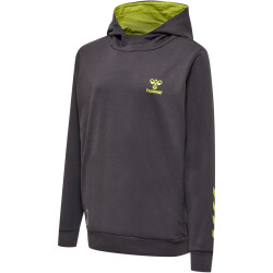 hummel Offgrid Hoodie Kinder forged iron/dark citron 116