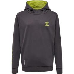 hummel Offgrid Hoodie Kinder forged iron/dark citron 116