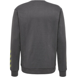 hummel Offgrid Sweatshirt Herren forged iron/dark citron L