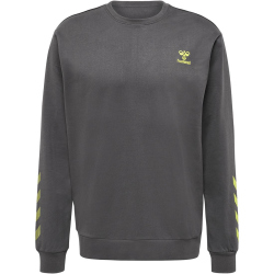hummel Offgrid Sweatshirt Herren forged iron/dark citron L