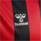 hummel Core XK Striped gestreiftes Trikot Herren black/true red S
