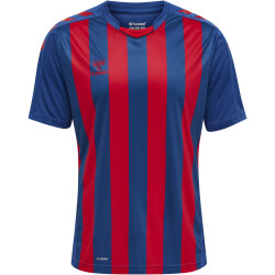 hummel Core XK Striped gestreiftes Trikot Herren true blue/true red S