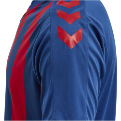 hummel Core XK Striped gestreiftes Trikot Herren true blue/true red S