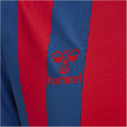 hummel Core XK Striped gestreiftes Trikot Herren true blue/true red S
