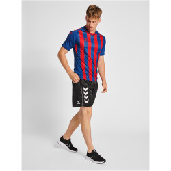 hummel Core XK Striped gestreiftes Trikot Herren true blue/true red S