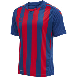 hummel Core XK Striped gestreiftes Trikot Herren true...