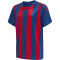 hummel Core XK gestreiftes Trikot Kinder true blue/true red 128