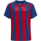 hummel Core XK gestreiftes Trikot Kinder true blue/true red 116