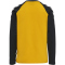 hummel hmlBOYS Langarmshirt Jungen saffron 152