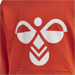 hummel hmlCUATRO Hoodie Kinder cherry tomato 110