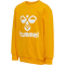 hummel hmlDOS Sweatshirt Kinder saffron 134