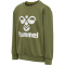 hummel hmlDOS Sweatshirt Kinder capulet olive 116