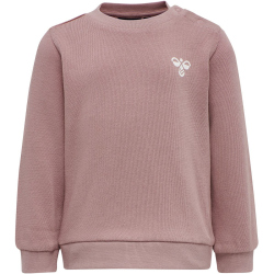 hummel hmlSANTO Baby-Jogginganzug woodrose 104