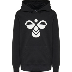 hummel hmlCUATRO Hoodie Kinder black 140