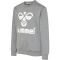 hummel hmlDOS Sweatshirt Kinder medium melange 152