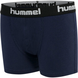2er Pack hummel hmlNOLAN Boxershorts Jungen black iris...