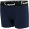 2er Pack hummel hmlNOLAN Boxershorts Jungen black iris 98/104