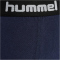 2er Pack hummel hmlNOLAN Boxershorts Jungen black iris 98/104